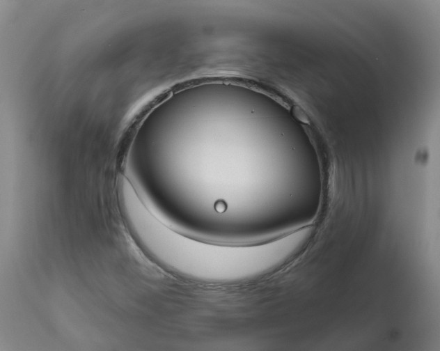 X0000113081452200909110953