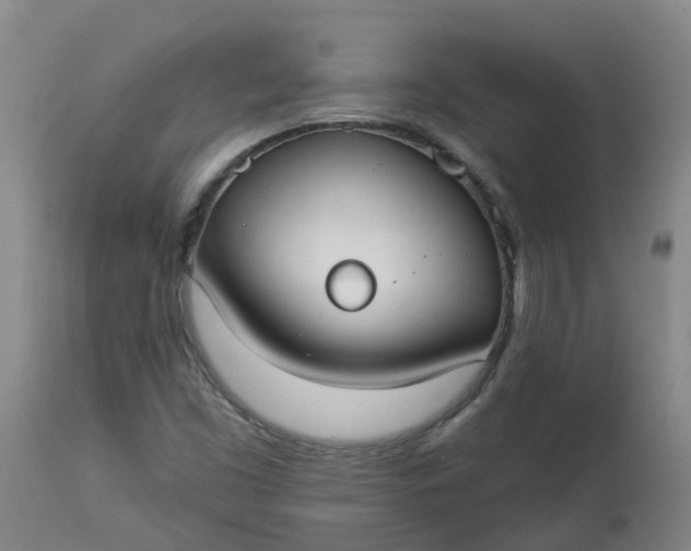 X0000113081453200909110952