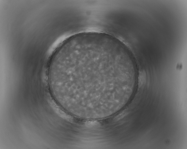 X0000113081454200909110952