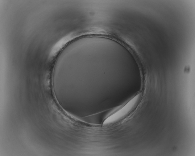 X0000113081455200909110952