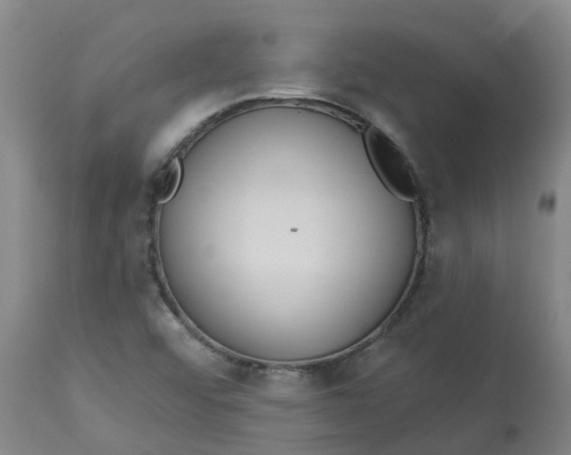 X0000113081456200909110952