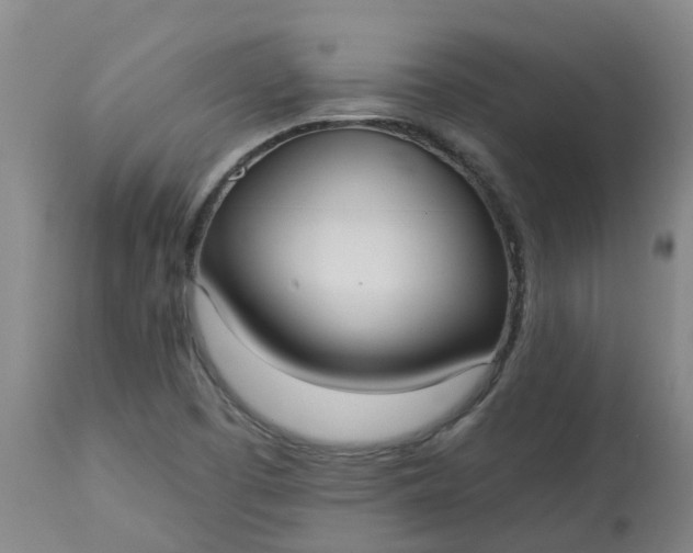 X0000113081457200909110952