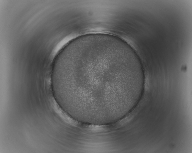 X0000113081458200909110952