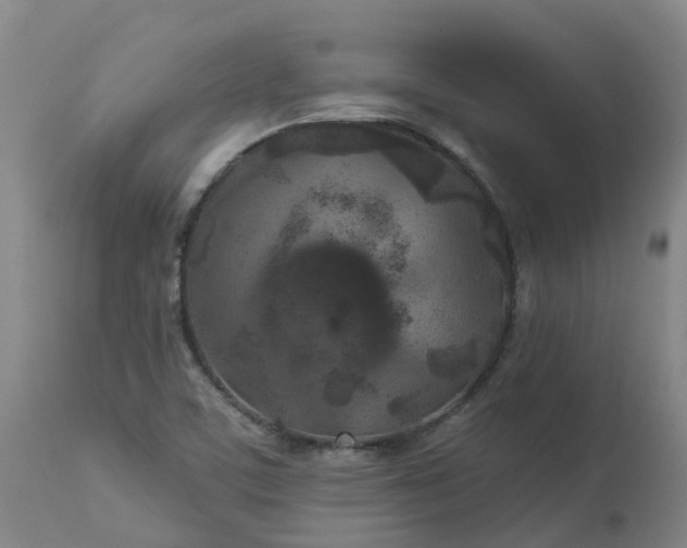 X0000113081459200909110952