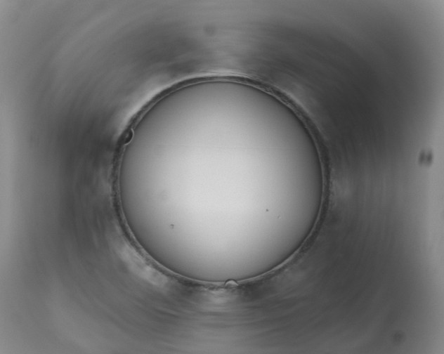 X0000113081460200909110952