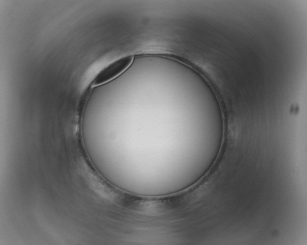 X0000113081461200909110952