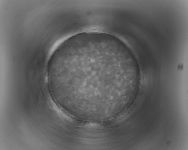 X0000113081462200909110952