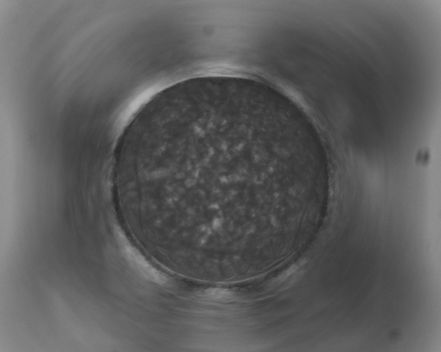 X0000113081463200909110952