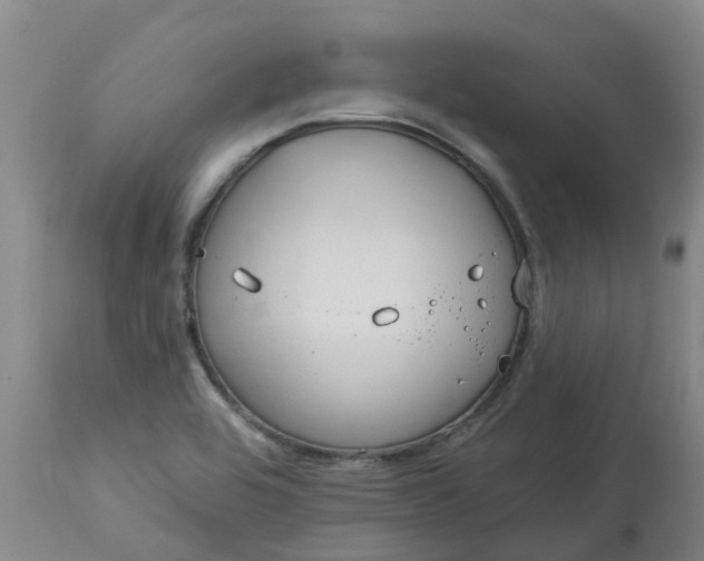 X0000113081464200909110952