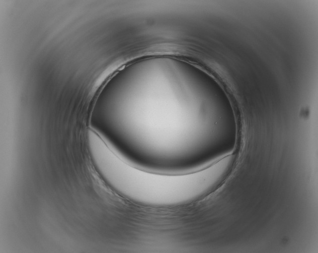 X0000113081465200909110952