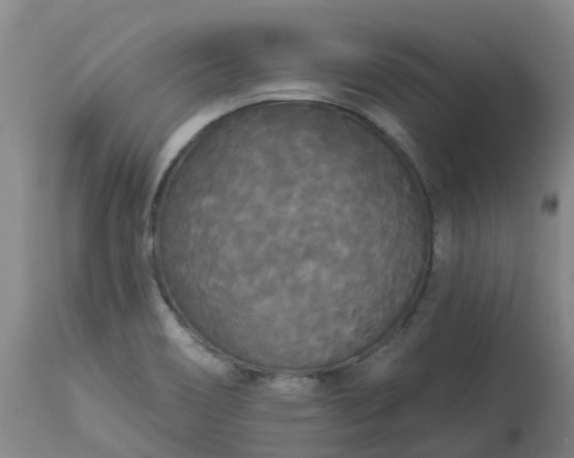 X0000113081466200909110952