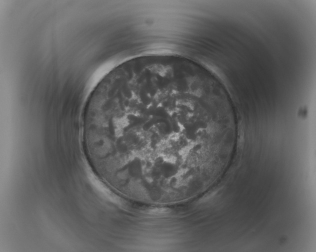 X0000113081467200909110952