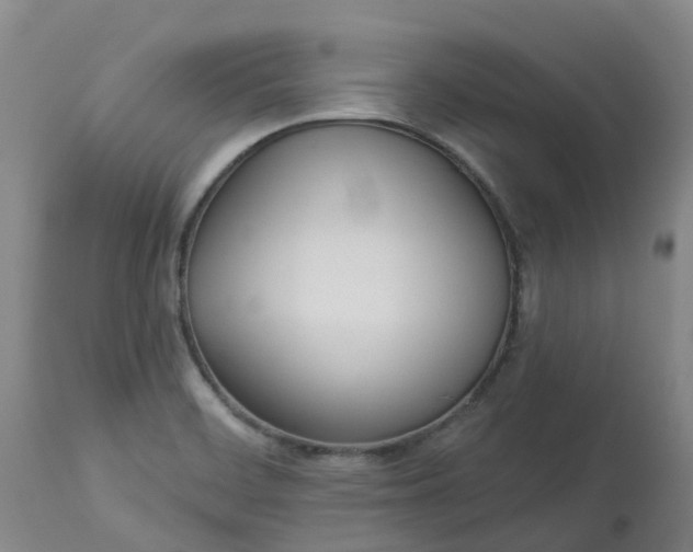 X0000113081468200909110952