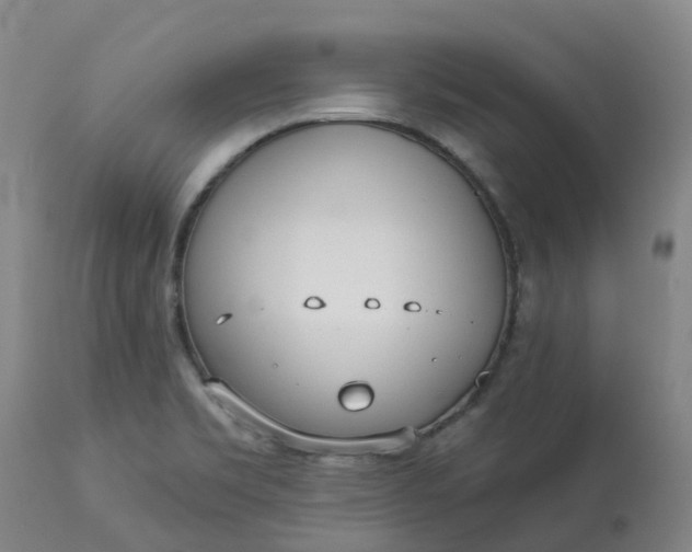 X0000113081469200909110952