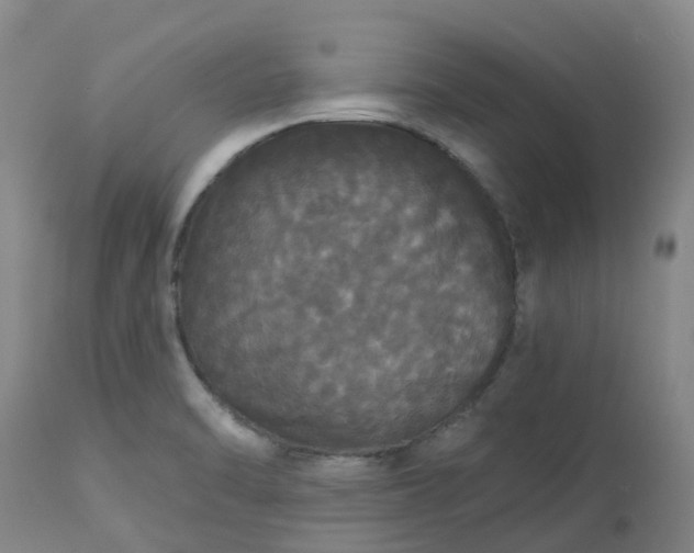 X0000113081470200909110952