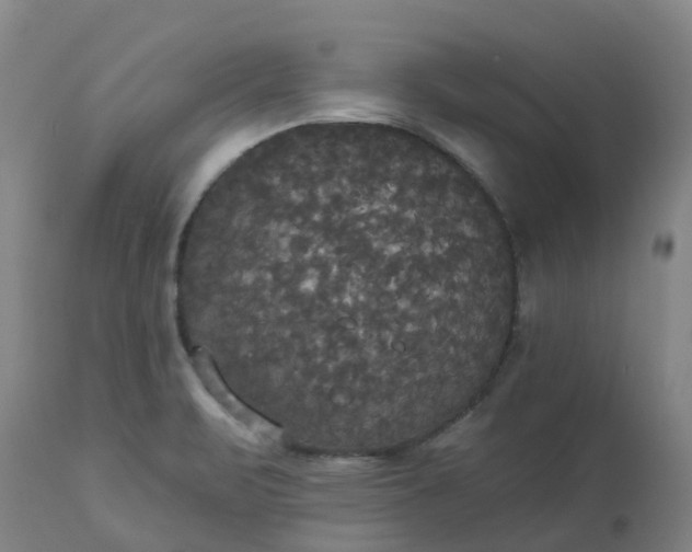 X0000113081471200909110952