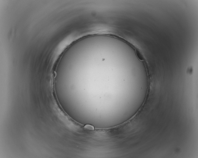 X0000113081472200909110952