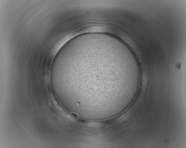 X0000113081473200909110952