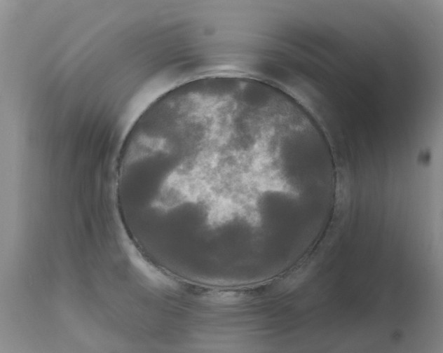 X0000113081474200909110952