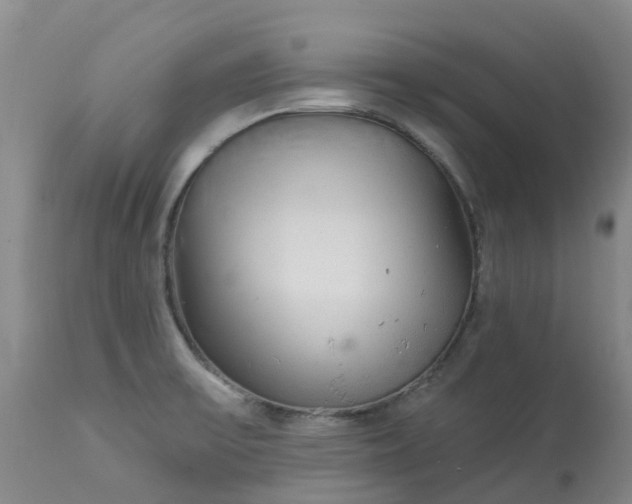 X0000113081475200909110952