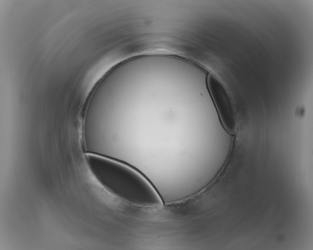 X0000113081476200909110952