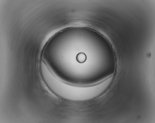 X0000113081477200909110952