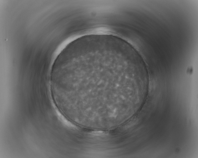 X0000113081478200909110952