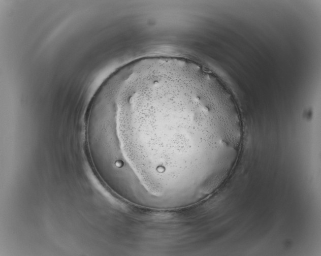 X0000113081479200909110952