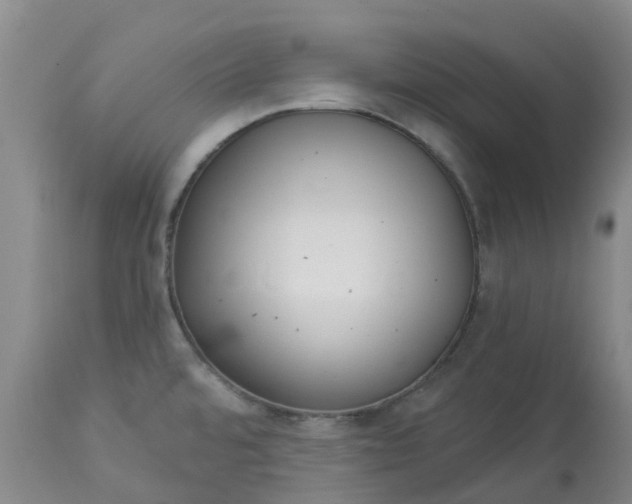 X0000113081480200909110952