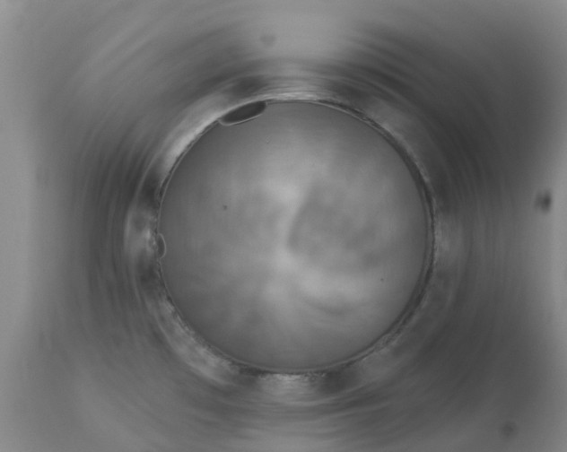 X0000113081481200909110952