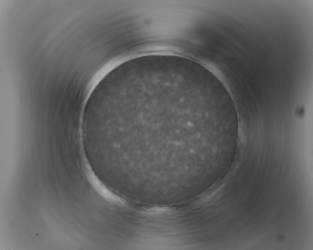 X0000113081482200909110952