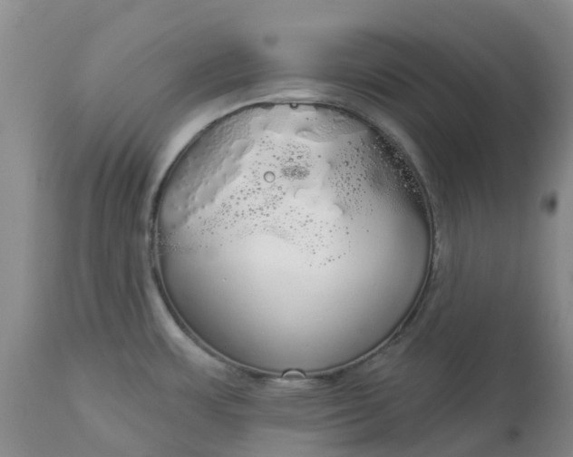 X0000113081483200909110952