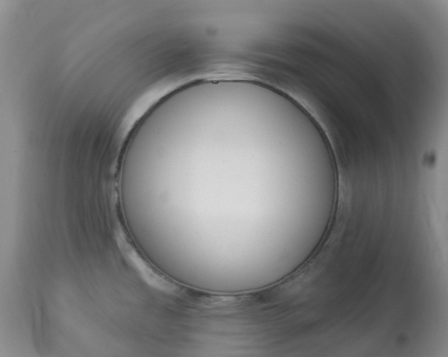 X0000113081485200909110952