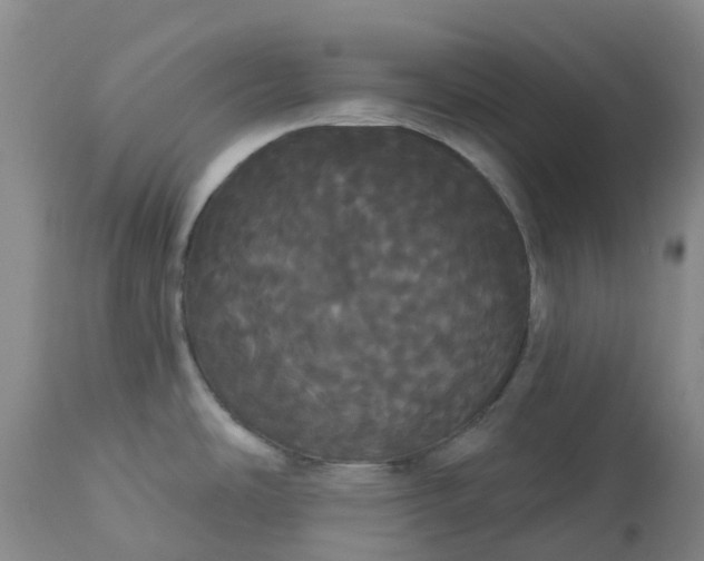 X0000113081486200909110952