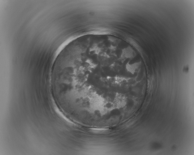 X0000113081487200909110952