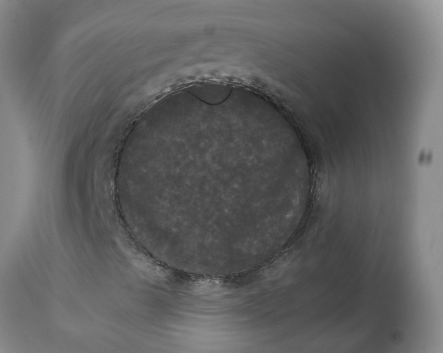 X0000113081489200909110951