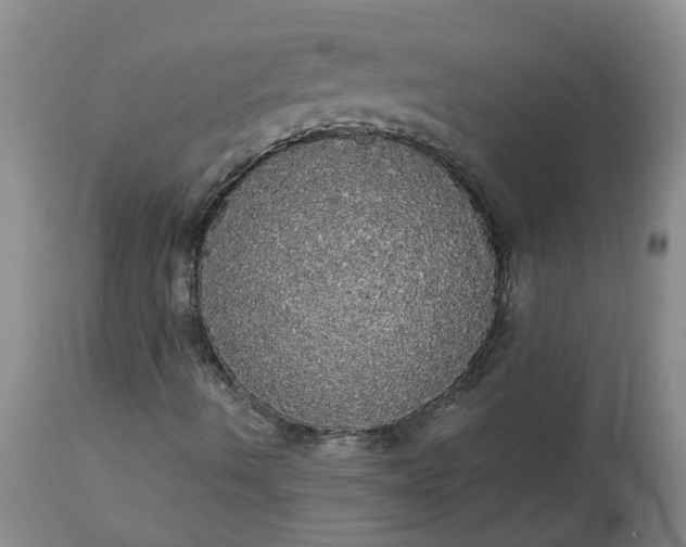 X0000113081490200909110951