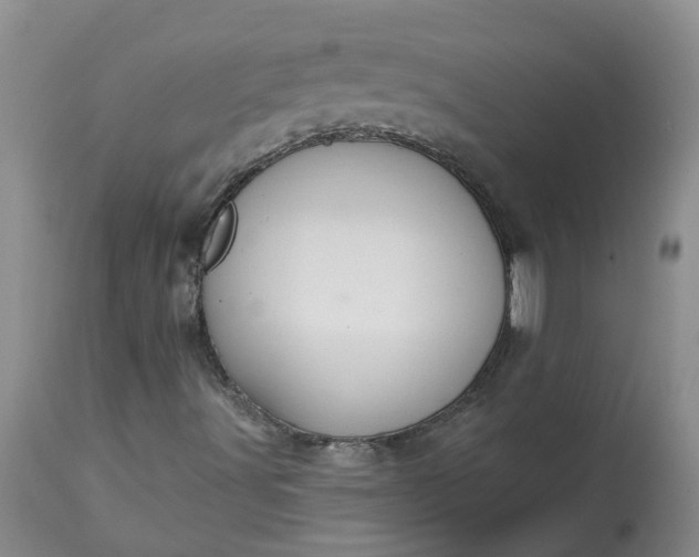 X0000113081491200909110951