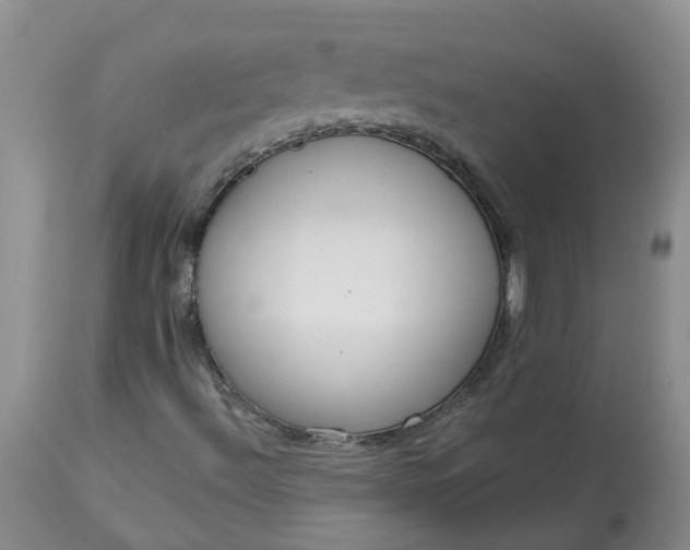 X0000113081492200909110951