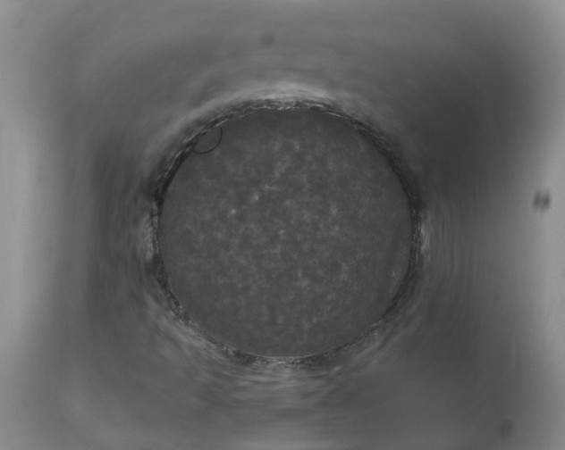 X0000113081493200909110951