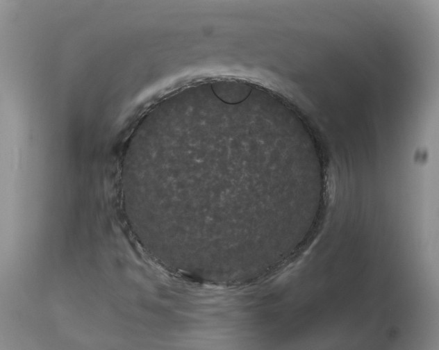 X0000113081494200909110951