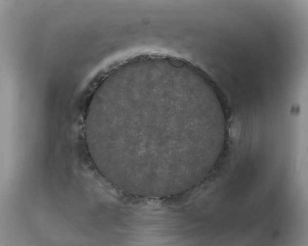 X0000113081495200909110951