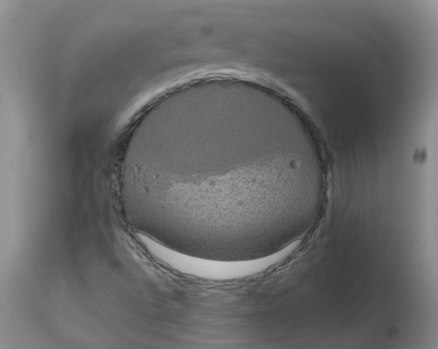 X0000113081496200909110951