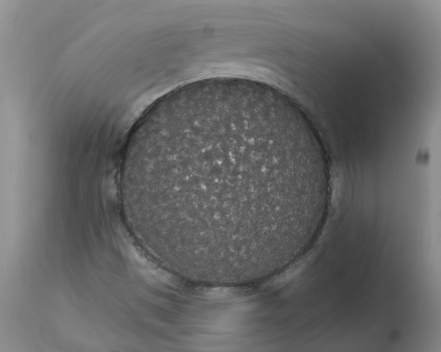 X0000113081497200909110951