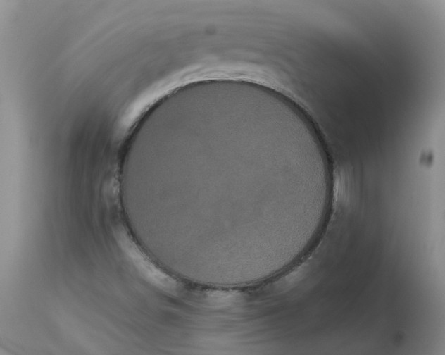 X0000113081498200909110951