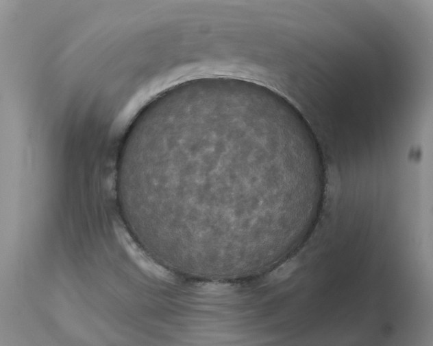 X0000113081499200909110951