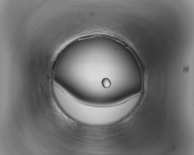 X0000113081500200909110952