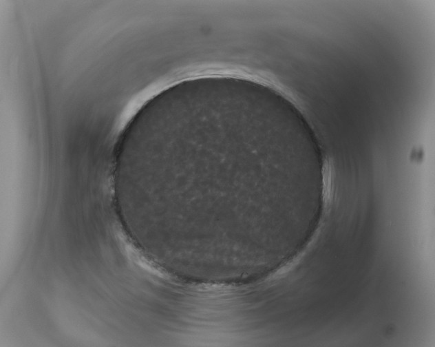 X0000113081501200909110952