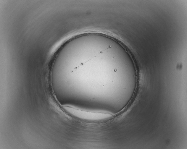 X0000113081502200909110952