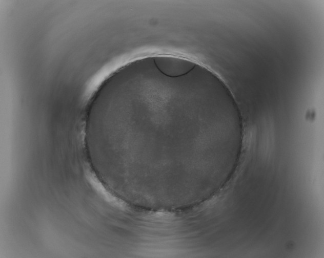 X0000113081503200909110952